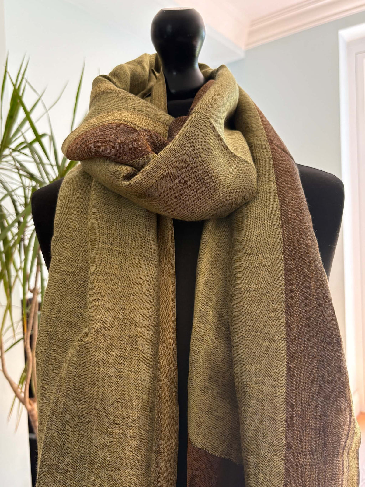 Olive Green Fine Wool Stole with Zari Border